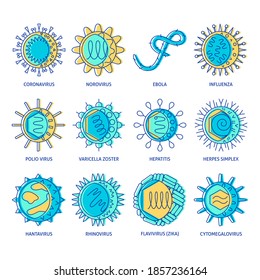 Conjunto de iconos de tipos de virus humanos. Colección de símbolos de microorganismos infecciosos al estilo de línea de color. Ilustración vectorial.