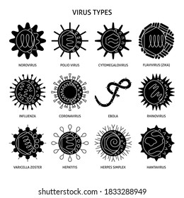 El conjunto de iconos de silueta de tipos de virus humanos. Colección de símbolos de microorganismos infecciosos. Ilustración vectorial.