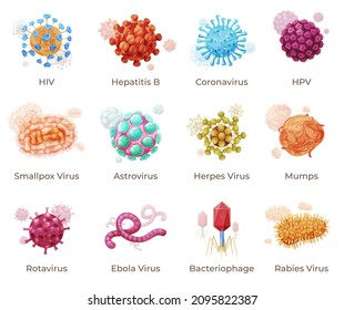 Human viruses with names infographic collection vector illustration. Disease virus cell medical microbiology studying isolated. Hiv, hepatitis B, coronavirus, hpv, smallpox, astrovirus, herpes, mumps