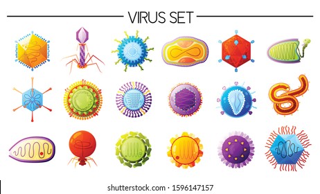 Human viruses varieties colorful icons set with smallpox different types flu measles polio ebola isolated vector illustration 