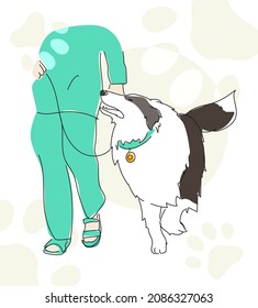 human walking happy border collie, dog walk