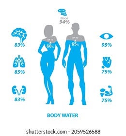 Human Water rate in the human body