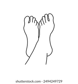 Human woman bared feet line drawing. Icon Vector illustration