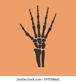 human wrist hands bones icon - vector illustration