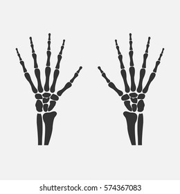 human wrist hands bones - vector