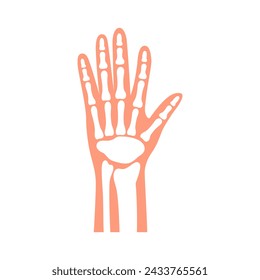 Human wrist and palm of hand with bones and joints as in xray, medical chart vector illustration