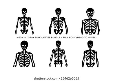 Human X-Ray Silhouette Vector Bundle - Head to Navel Anatomy Illustration,  