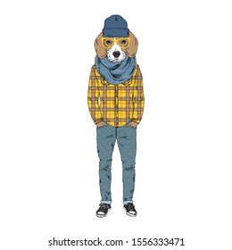 Humanized Beagle breed dog dressed up in hipster city outfits. Design for dogs lovers. Fashion anthropomorphic doggy illustration. Animal wear plaid shirt, jeans, glasses, beanie hat, scarf. Hand