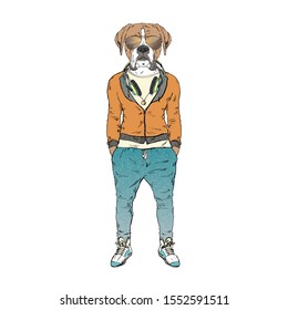 Humanized boxer breed dog dressed up in modern city outfits. Design for dogs lovers. Fashion anthropomorphic doggy illustration. Animal wear hoodie, jogging pants, headphones and sunglasses. Hand