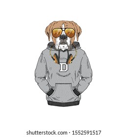 Humanized boxer breed dog dressed up in modern city outfits. Design for dogs lovers. Fashion anthropomorphic doggy illustration. Animal wear hoodie, headphones and sunglasses. Hand drawn vector.