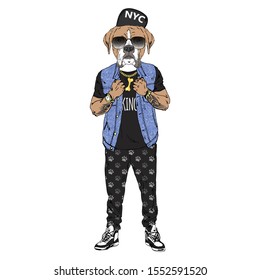 Humanized boxer breed dog dressed up in hip hop outfits. Design for dogs lovers. Fashion anthropomorphic doggy illustration. Animal wear jeans jacket, jogging pants, cap, sunglasses. Hand drawn vector