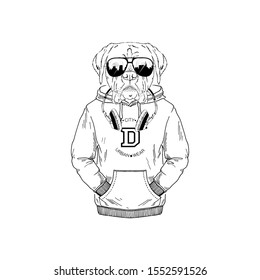 Humanized boxer breed dog dressed up in modern city outfits. Design for dogs lovers. Fashion anthropomorphic doggy illustration. Animal wear hoodie, headphones and sunglasses. Hand drawn vector.