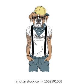 Humanized boxer breed dog with tattoo dressed up in modern city outfits. Design for dogs lovers. Fashion anthropomorphic doggy illustration. Animal wear t-shirt, jeans, cap, bandana, glasses. Hand