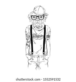 Humanized boxer breed dog with tattoo dressed up in modern city outfits. Design for dogs lovers. Fashion anthropomorphic doggy illustration. Animal wear t-shirt, jeans, cap, bandana, glasses. Hand