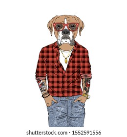 Humanized boxer breed dog with tattoo dressed up in modern city outfits. Design for dogs lovers. Fashion anthropomorphic doggy illustration. Animal wear plaid shirt, jeans and glasses. Hand drawn