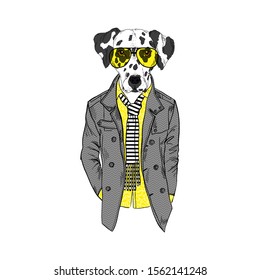 Humanized Dalmatian breed dog dressed up in modern city outfits. Design for dogs lovers. Fashion anthropomorphic doggy illustration. Animal wear coat, stripy scarf and sunglasses. Hand drawn vector.