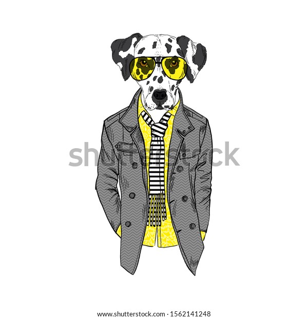 人間化したダルメシア人は 現代の街の服を着た犬を育てる 犬好きのデザイン ファッションの神人同形説的な犬のイラスト 動物はコート ストリピーなスカーフ サングラスを着ている 手描きのベクトル のベクター画像素材 ロイヤリティフリー