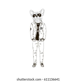 humanized french bulldog dressed up in urban style, anthros