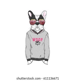 humanized french bulldog wearing hoodie  furry art illustration  anthros