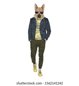 Humanized German Shepherd breed dog dressed up in modern city outfits. Design for dogs lovers. Fashion anthropomorphic doggy illustration. Animal wear leather jacket, jogging pants, hoodie and