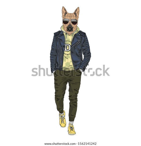 人間化したドイツの羊飼いは 現代の街の服を着た犬を育てる 犬好きのデザイン ファッションの神人同形説的な犬のイラスト 動物は皮の上着 ジョギングパンツ フーディー のベクター画像素材 ロイヤリティフリー