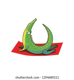 Humanized green crocodile doing stretch exercise. Funny cartoon character. Healthy lifestyle. Vector design