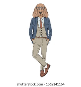 Humanized Irish Setter breed dog dressed up in retro outfits. Design for dogs lovers. Fashion anthropomorphic doggy illustration. Animal wear suit, tie, glasses. Hand drawn vector.