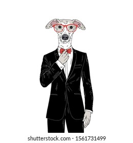 Humanized Italian Greyhound breed dog dressed up in classy outfits. Design for dogs lovers. Fashion anthropomorphic doggy illustration. Animal wear tuxedo, tie bow, glasses. Hand drawn vector.