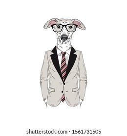 Humanized Italian Greyhound breed dog dressed up in office outfits. Design for dogs lovers. Fashion anthropomorphic doggy illustration. Animal wear suit, tie, glasses. Hand drawn vector.