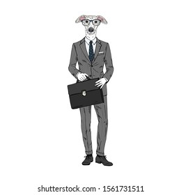 Humanized Italian Greyhound breed dog dressed up in office outfits. Design for dogs lovers. Fashion anthropomorphic doggy illustration. Animal wear suit, tie, glasses, bag. Hand drawn vector.