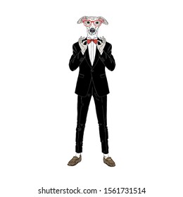 Humanized Italian Greyhound breed dog dressed up in classy outfits. Design for dogs lovers. Fashion anthropomorphic doggy illustration. Animal wear tuxedo, tie bow, glasses. Hand drawn vector.