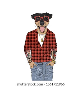 Humanized Jagdterrier, German hunting terrier breed dog with tattoo dressed up in modern city outfits. Design for dogs lovers. Fashion anthropomorphic doggy illustration. Animal wear plaid shirt