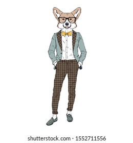 Humanized Welsh Corgi breed dog dressed up in retro outfits. Design for dogs lovers. Fashion anthropomorphic doggy illustration. Animal wear suit, tie bow, glasses. Hand drawn vector.