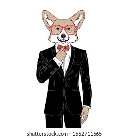 Humanized Welsh Corgi breed dog dressed up in classy outfits. Design for dogs lovers. Fashion anthropomorphic doggy illustration. Animal wear tuxedo, tie bow, glasses. Hand drawn vector.
