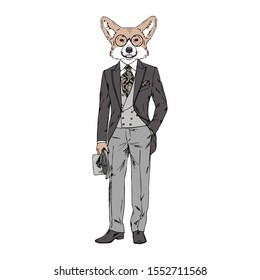 Humanized Welsh Corgi breed dog dressed up in vintage outfits. Design for dogs lovers. Fashion anthropomorphic doggy illustration. Animal wear suit, tie, glasses, bowler hat. Hand drawn vector.