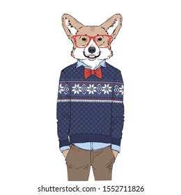 Humanized Welsh Corgi breed dog dressed up in Christmas outfits. Design for dogs lovers. Fashion anthropomorphic doggy illustration. Animal wear jacquard pullover, tie bow, glasses. Hand drawn vector.