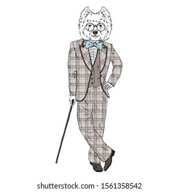 Humanized West Highland white terrier breed dog dressed up in vintage outfits. Design for dogs lovers. Fashion anthropomorphic doggy illustration. Animal wear suit, tie bow, glasses, walking stick