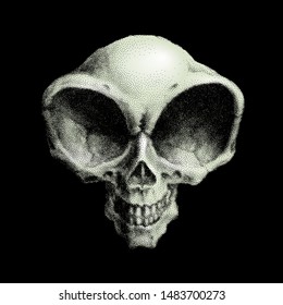 Humanoid alien skull. Vector illustration on black background. RGB. Global colors