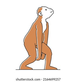 Humanoid ape flat vector illustration. Humankind progress from caveman as ancestor. Human evolution theory Anthropology concept