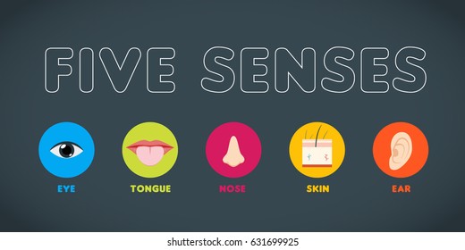 Five Human Senses: Images, Stock Photos & Vectors 