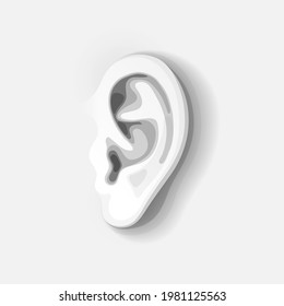 Human's ear, side view of auricle in gray colors. Concept of auditory perception, sensory organs, deafness and hearing loss, perception of information