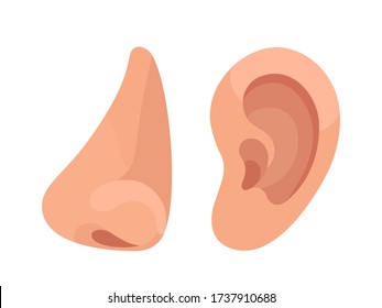 Humans organs nose and ear, senses - hearing and smell. Vector illustration, flat design, cartoon style, isolated on white background.