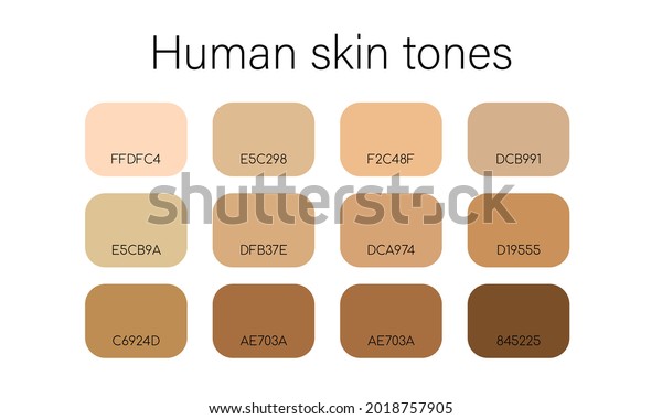 Humans Skin Pantone Informational Poster Vector Stock Vector (Royalty ...