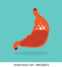 Human's Stomach.Vector Illustration.