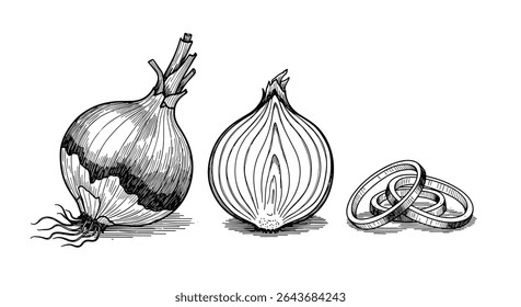 A Cebola Humilde Um Grampo Culinário Do Jardim À Mesa Uma Jornada Delícia