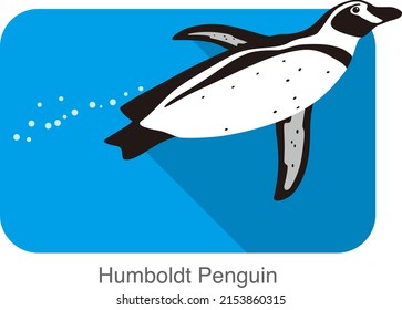 humboldt Penguin, Penguin seed series  vector illustration