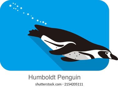 humboldt Penguin, Penguin seed series  vector illustration