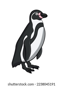 Pingüino Humboldt, animal sudamericano; Perú, Chile. Ilustración vectorial