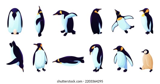 Humboldt penguins, rockhopper animals in different poses. Antarctica birds species. Arctic adelie, blue emperor, chinstrap, royal gentoo. Zoo and wildlife character. Vector cartoon icons