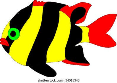 Humbug damsel fish